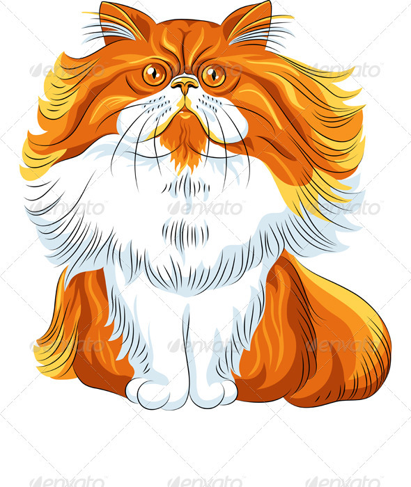 Vector Color Sketch Fluffy Persian Cat - Animals Characters