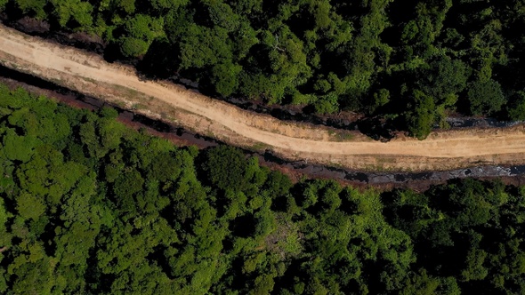 AH - Forest on top alt