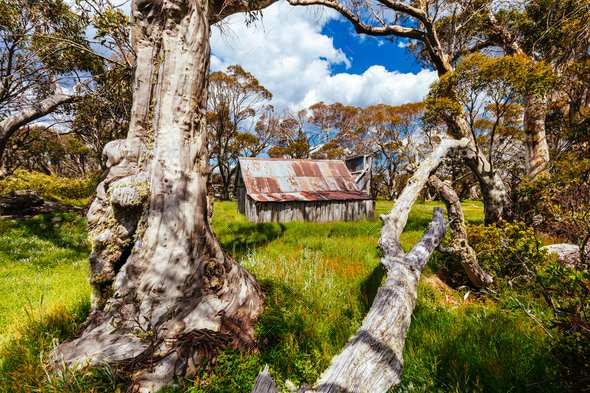 Wallace Hut near Falls Creek in Australia - Stock Photo - Images