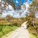 Wallace Hut Trail near Falls Creek in Australia - PhotoDune Item for Sale