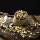 fresh and dry jasmine flowers - PhotoDune Item for Sale