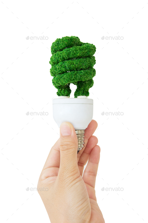 Eco light bulb - Stock Photo - Images
