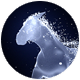 Horse Particles Logo - VideoHive Item for Sale