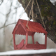 Close-up of a bird feeder on a tree under the snow in the forest. - PhotoDune Item for Sale