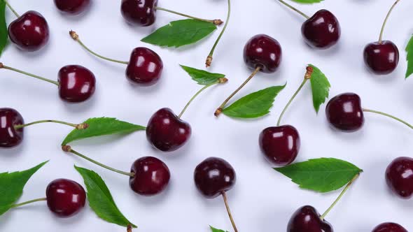 Background of Ripe Cherries with Water Drops on White Background with Green Leaves Closeup Top View