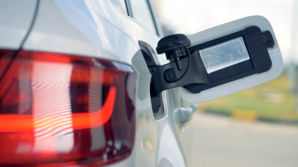 A Person Is Removing a Gas Pistol From the Tank of the Care and Closing It alt