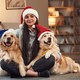 In Santa hats. Woman is with two golden retriever dogs at home - PhotoDune Item for Sale