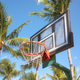Basketball ring and backboard with coconut palm trees in background, selective focus. - PhotoDune Item for Sale
