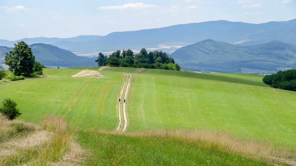Tourists Walking Down the Country Road in Green Nature Landscape alt