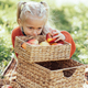 Child picking apples on farm in autumn. Little girl playing in apple tree orchard. Healthy nutrition - PhotoDune Item for Sale