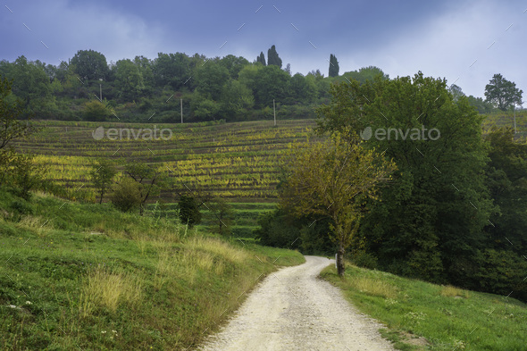 Natural park of Curone and Montevecchia, in Brianza - Stock Photo - Images