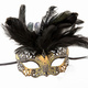 Carnival Venetian mask with black feather decoration isolated on white - PhotoDune Item for Sale