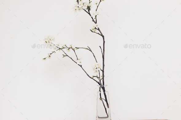 Spring flowers in glass vase still life - Stock Photo - Images