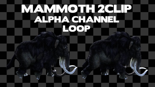 Mammoth 2Clip Alpha Loop