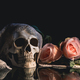 Human skull and flowers. Day of the dead, Dia de los muertos character. - PhotoDune Item for Sale