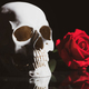 Human skull and flowers. Day of the dead, Dia de los muertos character. - PhotoDune Item for Sale