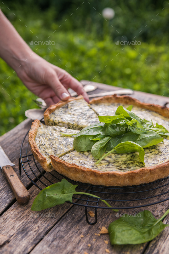 Quiche with spinach traditional dish of french cuisine. Spinach tart Stock Photo by sokorspace