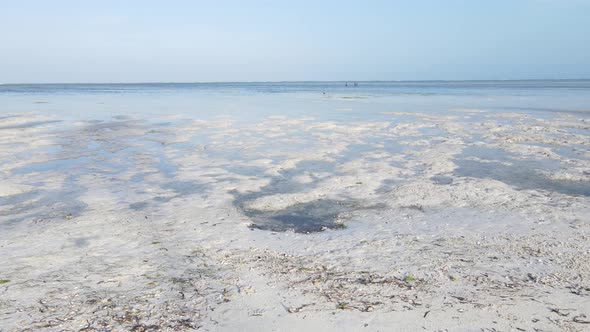 Aerial View of Low Tide in the Ocean Near the Coast of Zanzibar Tanzania Slow Motion alt