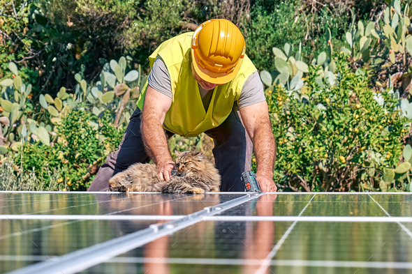 Man playing with cat while installing stand-alone photovoltaic solar panel system on rooftop.