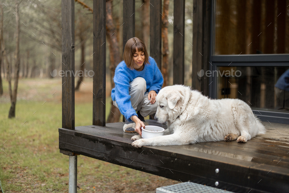 Young woman feeds her cute white dog on porch of a house - Stock Photo - Images