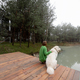Woman with dog on pier near lake in pine forest - PhotoDune Item for Sale