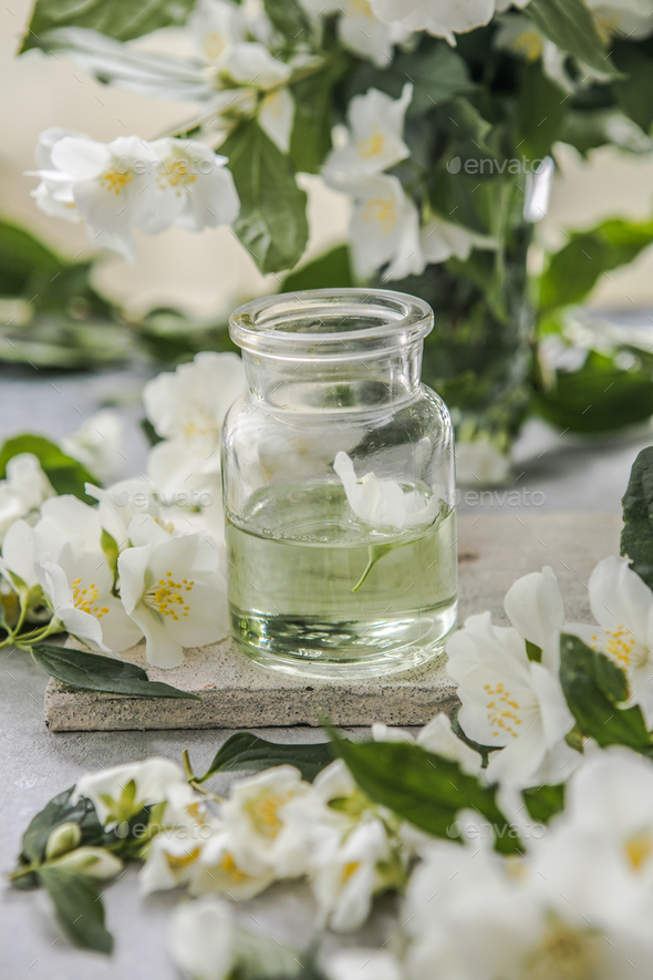 Jasmine essential oil and fresh jasmine blossom. Stock Photo by sokorspace