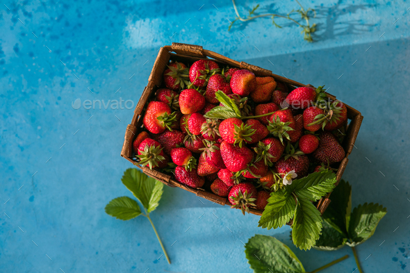 Fresh Strawberries & Organic Strawberries