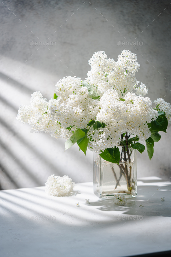 White Lilac flowers bouquet Stock Photo by ipolly80 | PhotoDune
