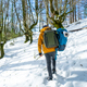 Hiker with two backpacks on a snow trek, winter adventures in a beech forest - PhotoDune Item for Sale