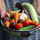 A female farmer holds vegetables in her hands. Selective focus. - PhotoDune Item for Sale