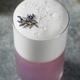 Boozy Purple Lavender Gin Fizz Cocktail - PhotoDune Item for Sale