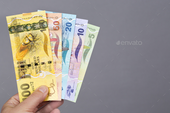 Fijian money in the hand on a gray background - Stock Photo - Images