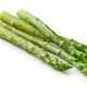 freshly boiled asparagus - PhotoDune Item for Sale