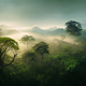 Misty jungle rainforest from above in the morning. - PhotoDune Item for Sale