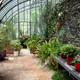 Potted plants in the veranda - PhotoDune Item for Sale