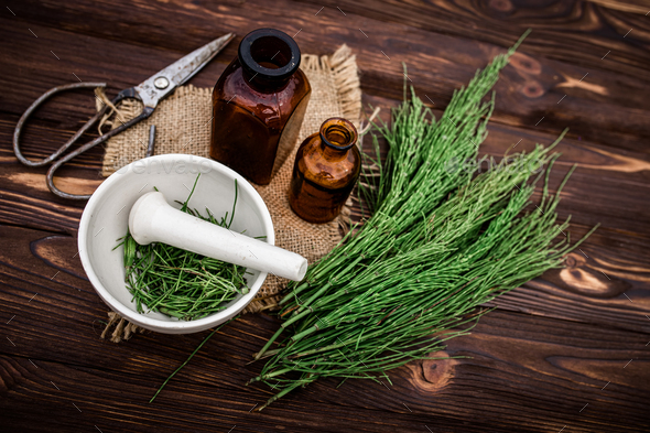 Apothecary mortar with dry medicinal herbs horse tail. Equisetum, horsetail, snake grass, oil for