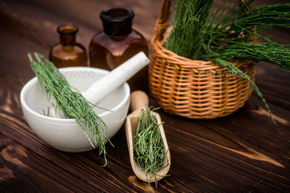 Apothecary mortar with dry medicinal herbs horse tail. Equisetum, horsetail, snake grass, oil for