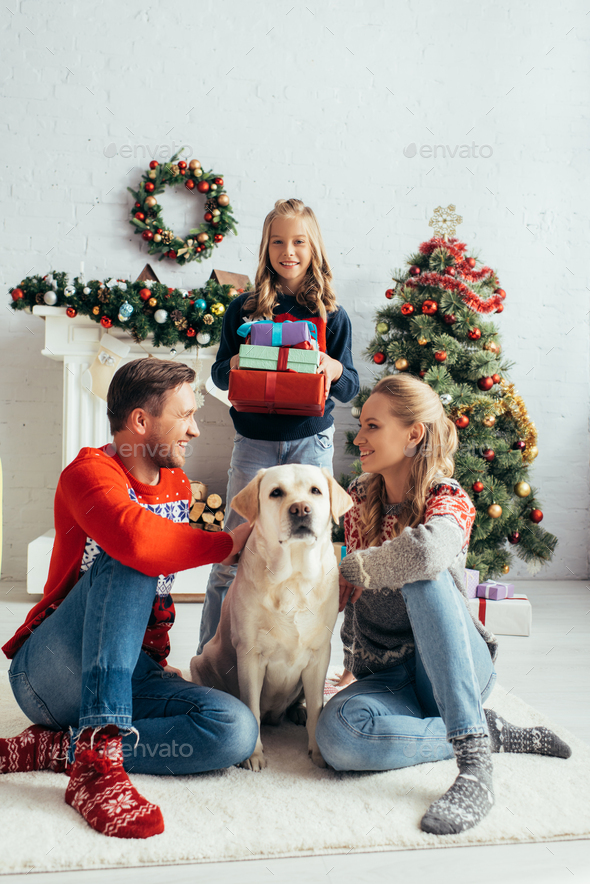 joyful parents in sweaters cuddling labrador near daughter with presents and decorated christmas - Stock Photo - Images