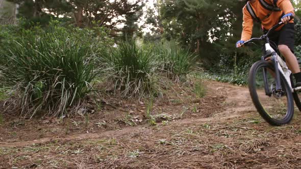 Male mountain biker riding in the forest alt