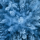 Aerial view of beautiful pine trees in snow in beautiful winter - PhotoDune Item for Sale