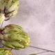 fresh organic natural green artichokes - PhotoDune Item for Sale