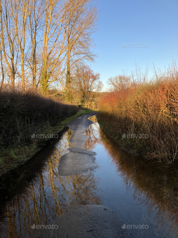 Country lane in late afternoon after heavy rain