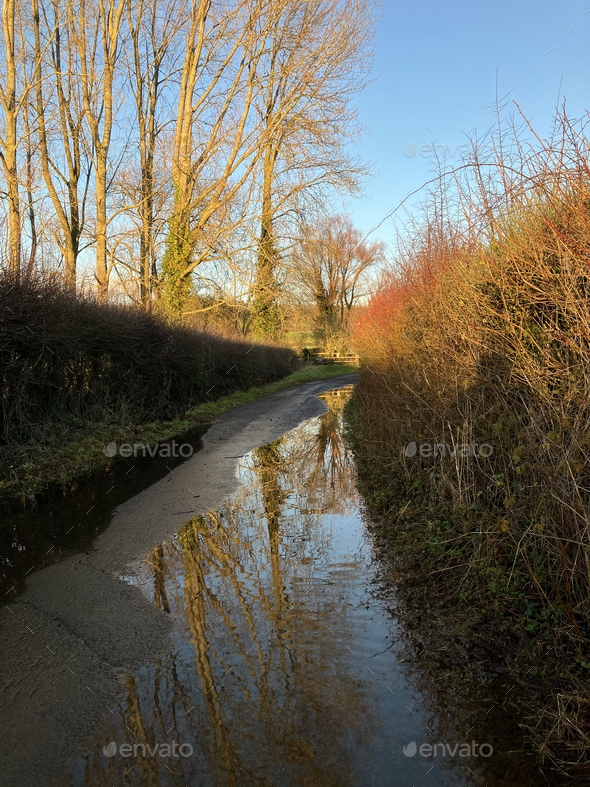 Winter scene, country lane with relections in flood water