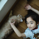 Little girl relaxing on the floor with her kitten. High angle view. - PhotoDune Item for Sale