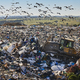 Heavy machinery shredding garbage in an open air landfill. Pollution - PhotoDune Item for Sale