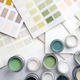 Choosing wall paints - PhotoDune Item for Sale