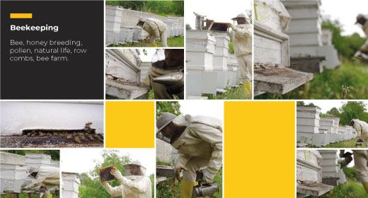 Beekeeping