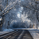Country road in a winter landscape with frosted trees - PhotoDune Item for Sale