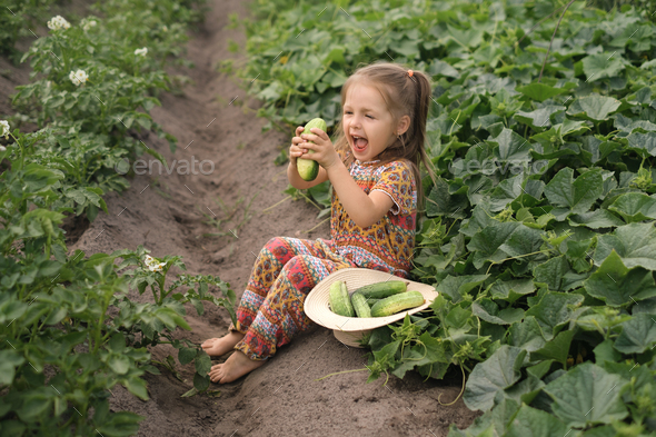 A little laughing girl holds large fresh cucumber plucked from garden. - Stock Photo - Images