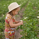 A little laughing girl in a hat is looking at a potato flower. - PhotoDune Item for Sale